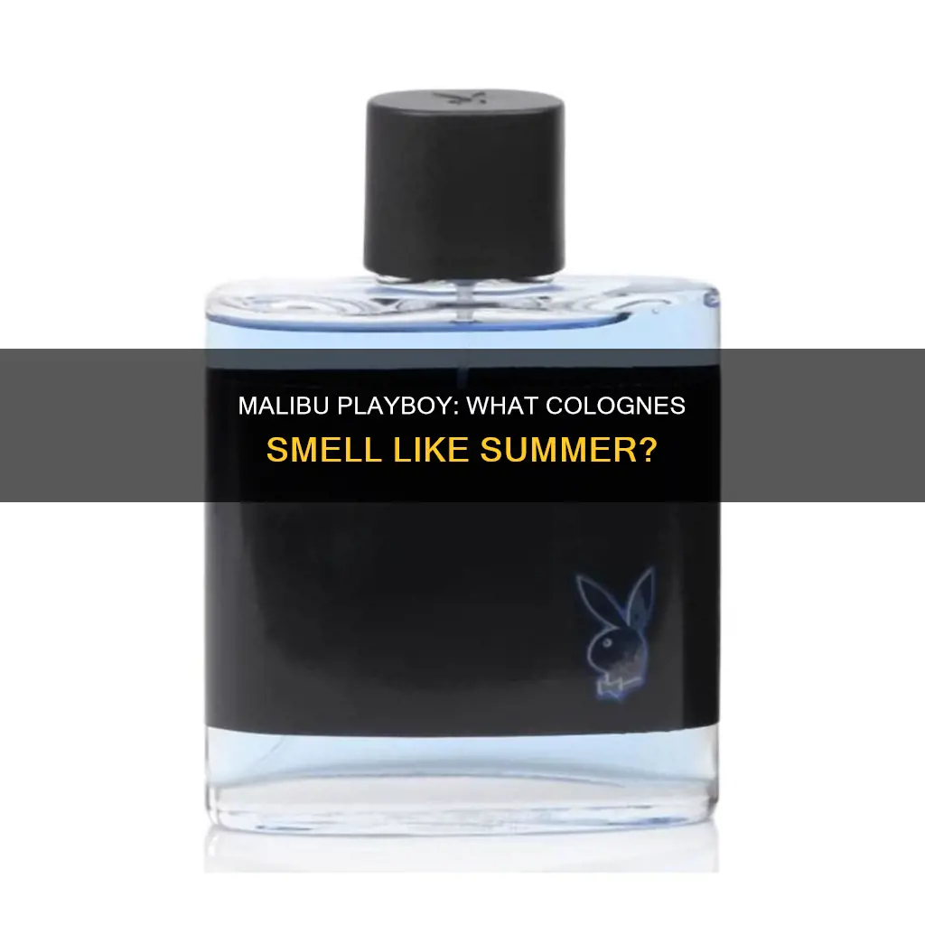 what cologne smells most like playboy malibu