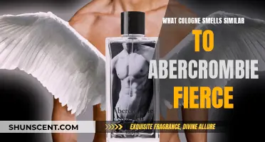 Discover Fierce Abercrombie Colognes and Their Smell-Alike Fragrances