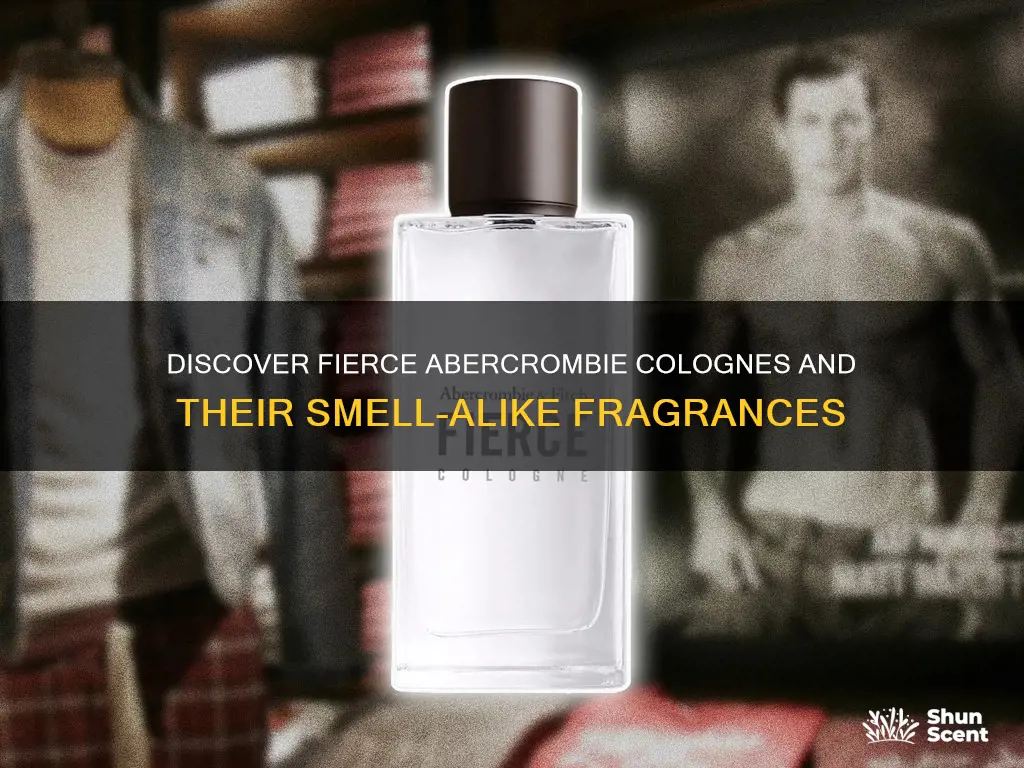 what cologne smells similar to abercrombie fierce