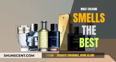 The Best-Smelling Colognes: A Definitive Guide for Men