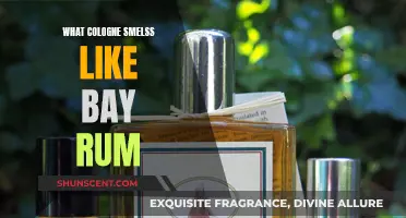 Bay Rum Fragrance: The Best Cologne Picks