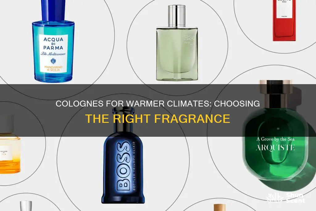 what colognes are better for warmer places