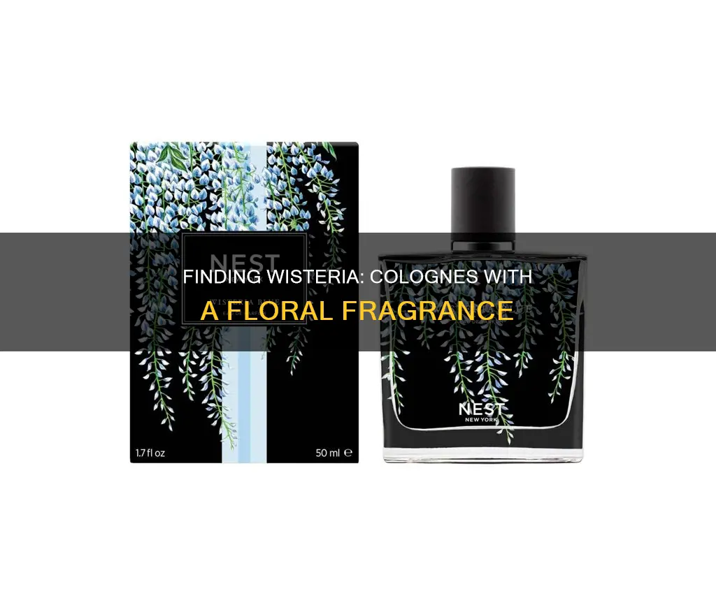 what colognes have a wisteria fragrance