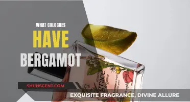 Bergamot-Based Colognes: A Guide to Citrusy Scents