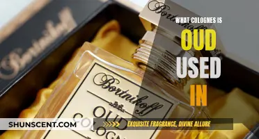 Oud's Allure: Colognes That Feature This Distinctive Note