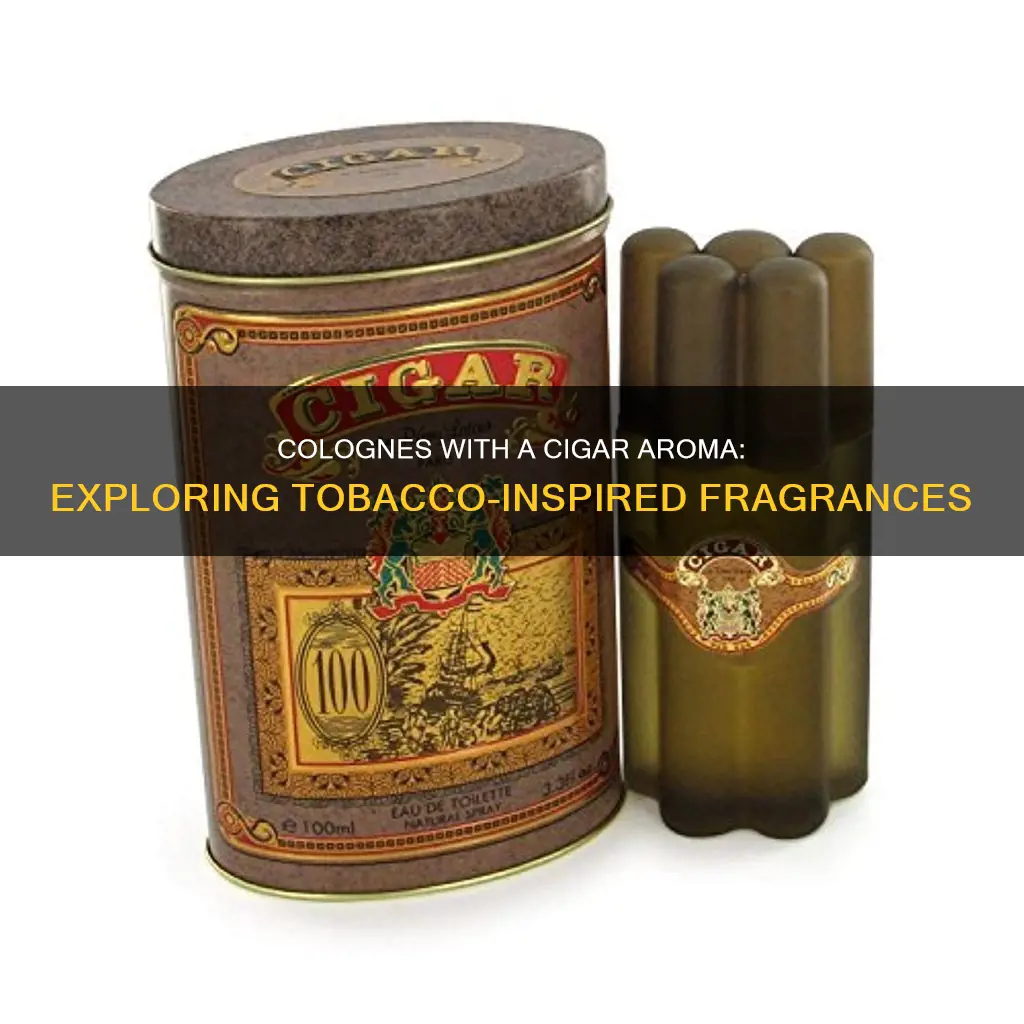 what colognes smell like cigars