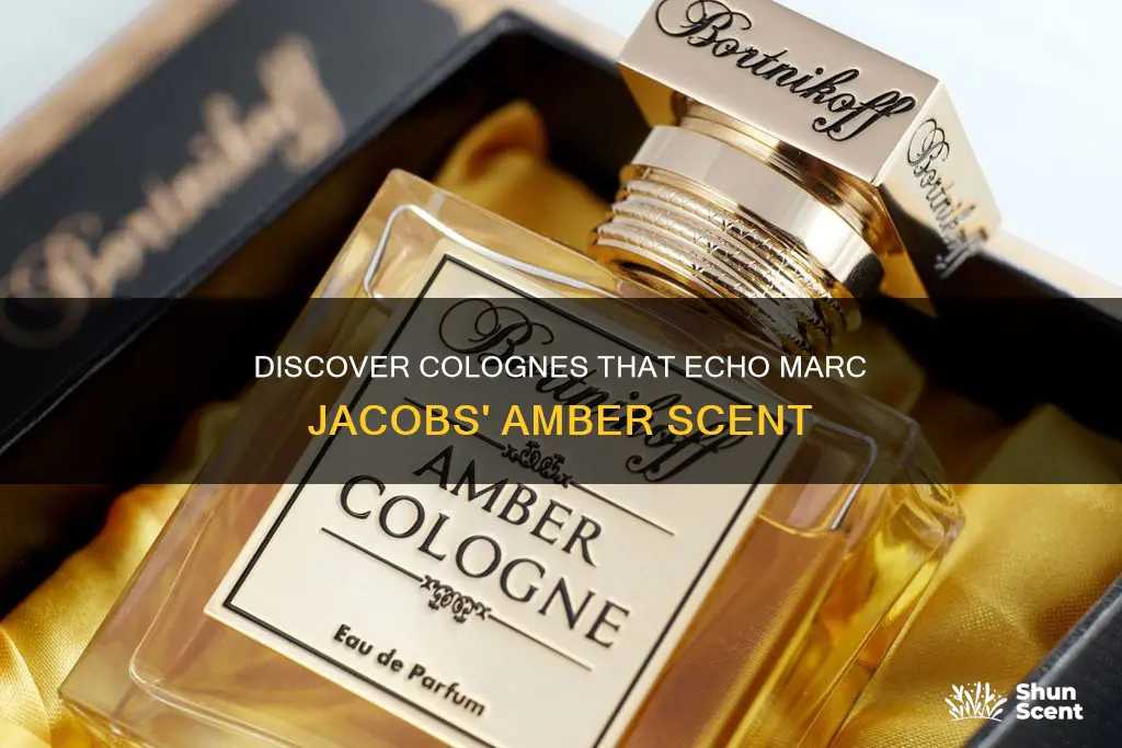 what colognes smell like marc jacobs amber