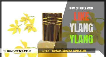 Discover Colognes with Ylang Ylang Notes