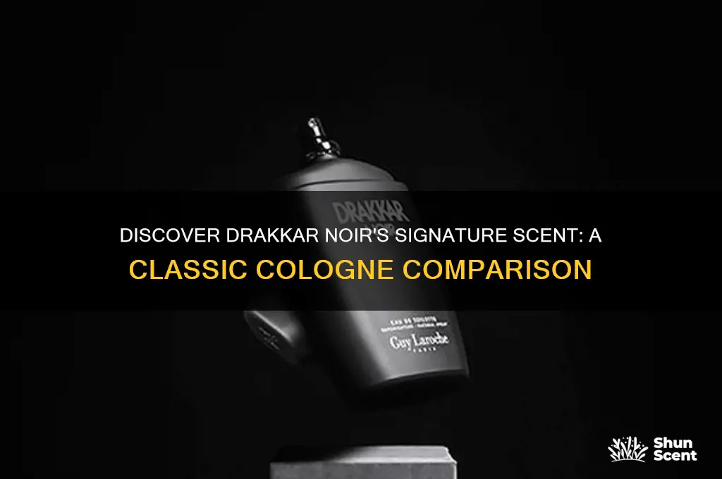 what cololgn smells like drakkars original scent