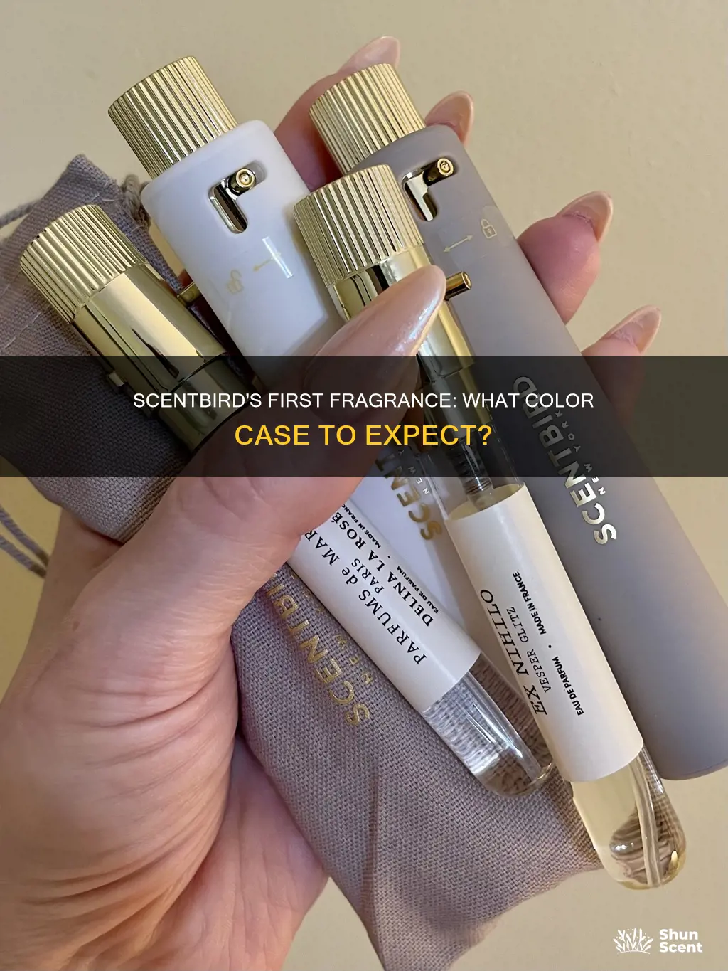 what color fragrance case does scentbird send on first order