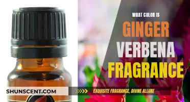 Unveiling the Fragrant Hue: Ginger Verbena's Colorful Scent