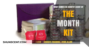 Discover Scentsy's Scent of the Month Kit: Exclusive Fragrances & Surprises