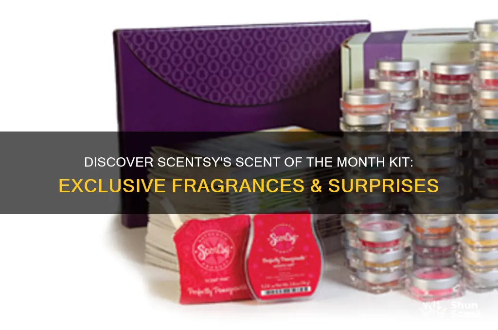 what comes in scentsy scent of the month kit