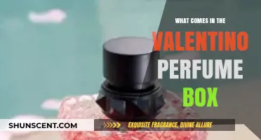 Unboxing Valentino: Discover What’s Inside the Perfume Box