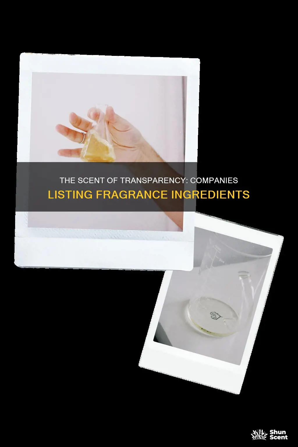 what companies are listing their fragrance ingredients