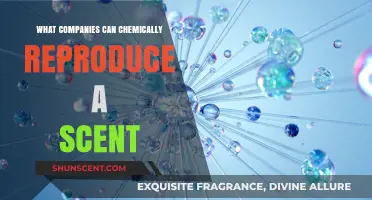 Innovative Companies Mastering the Art of Chemical Scent Reproduction
