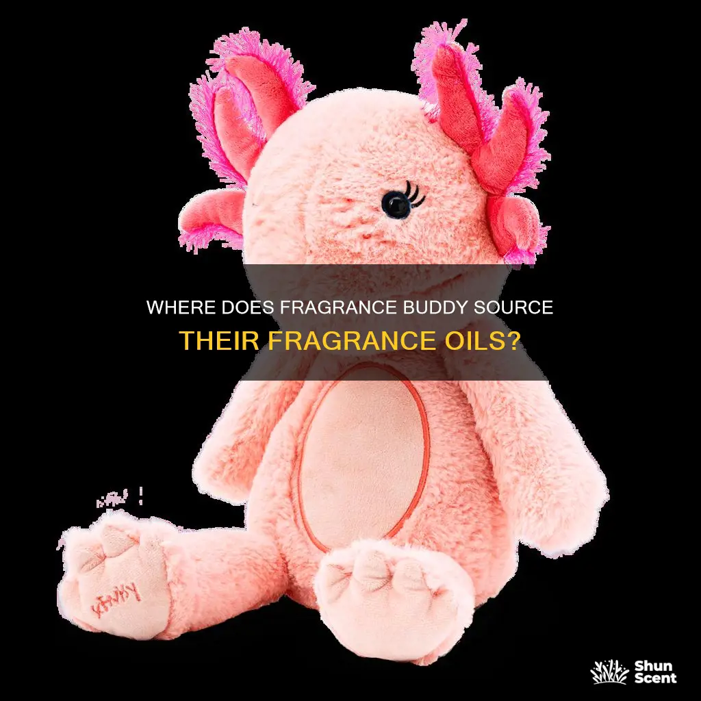 what companies get their fragrance oils from fragrance buddy