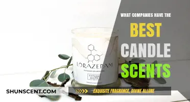 Discover the Top Companies with the Most Irresistible Candle Scents