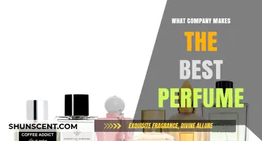 Which Perfume Brands are Worth the Hype?