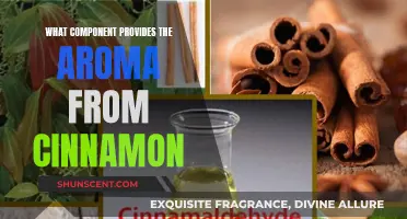 The Chemistry Behind Cinnamon's Aroma