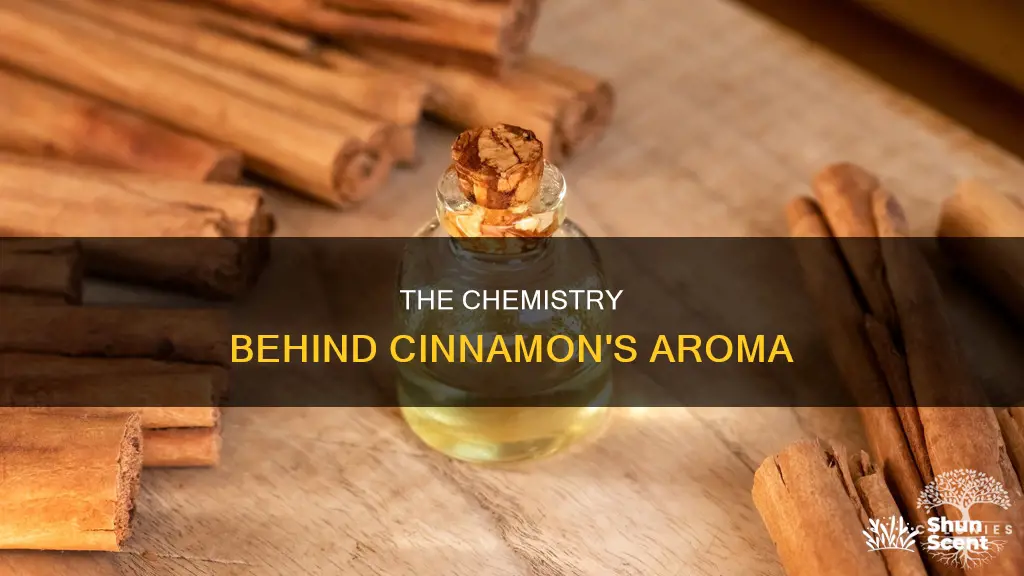 what component provides the aroma from cinnamon