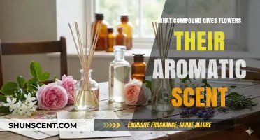Unveiling the Fragrant Mystery: Compounds Behind Flowers' Aromatic Scents