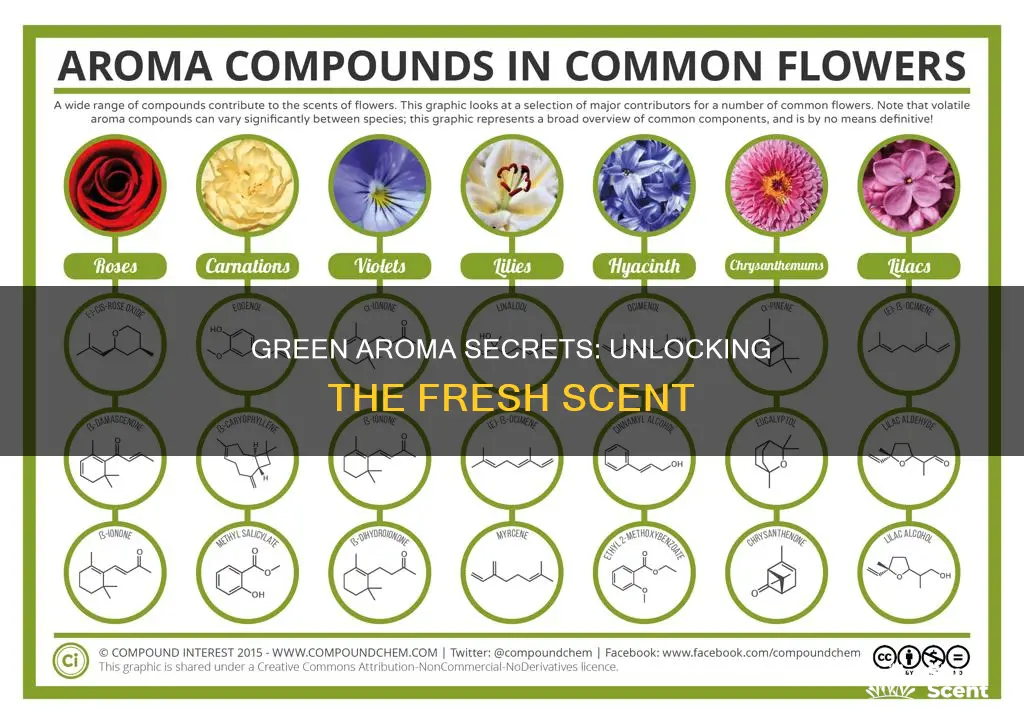 what compound gives the aroma of green