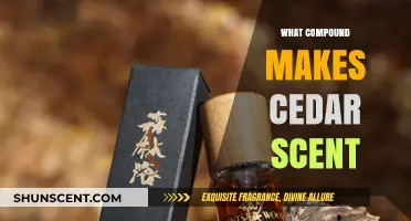 Unveiling the Aromatic Secret: What Compound Creates Cedar's Signature Scent?