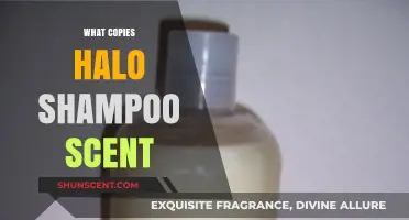 Discover Scents That Mimic Halo Shampoo's Signature Aroma