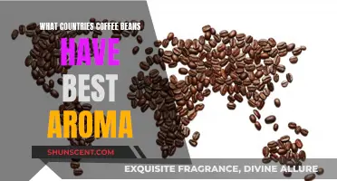 Best Coffee Beans: Which Country Has the Most Aromatic Brew?