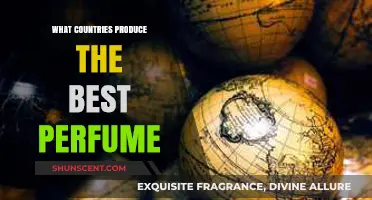 Exploring the World's Top Perfume-Producing Countries: A Fragrant Journey