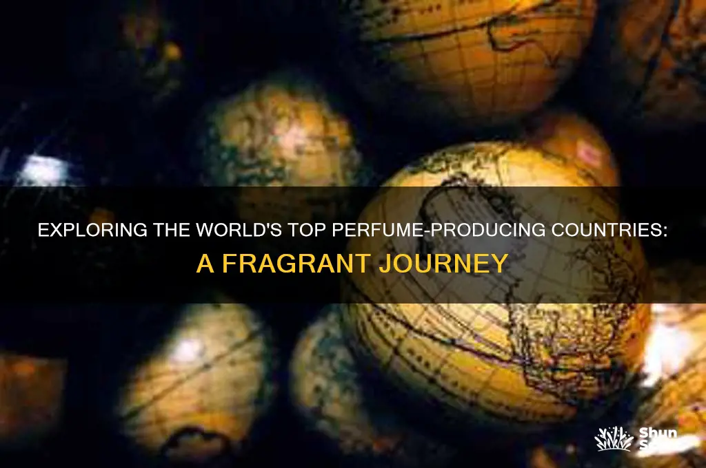 what countries produce the best perfume