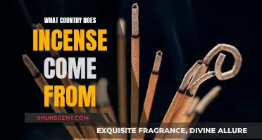 The Ancient History of Incense and its Country of Origin