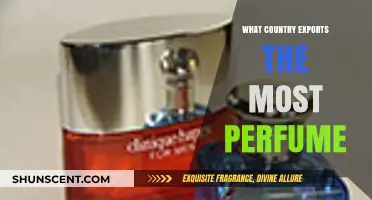 Global Fragrance Leader: Which Nation Exports the Most Perfume?