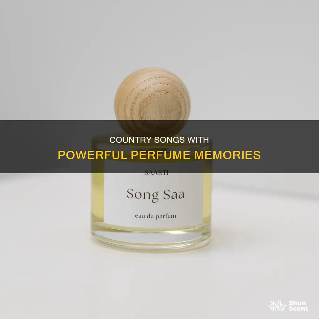what country song has i can still smell the perfume