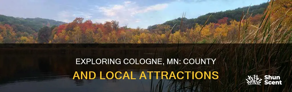 what county is cologne mn