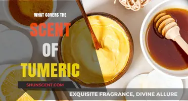 Discovering Natural Ingredients That Mask the Strong Scent of Turmeric