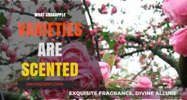 Fragrant Crabapple Varieties: Discover the Most Scented Cultivars for Your Garden