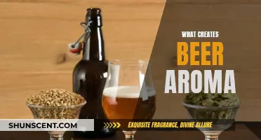 The Magic Behind Beer Aroma: Ingredients to Process