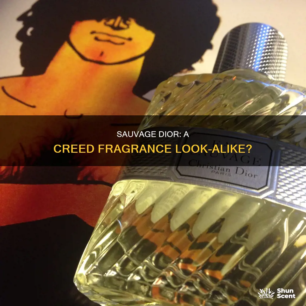 what creed fragrance does sauvage dior resemble