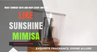 Sunshine Mimosa Scent: Bath & Body Works' Bright, Citrusy Fragrance