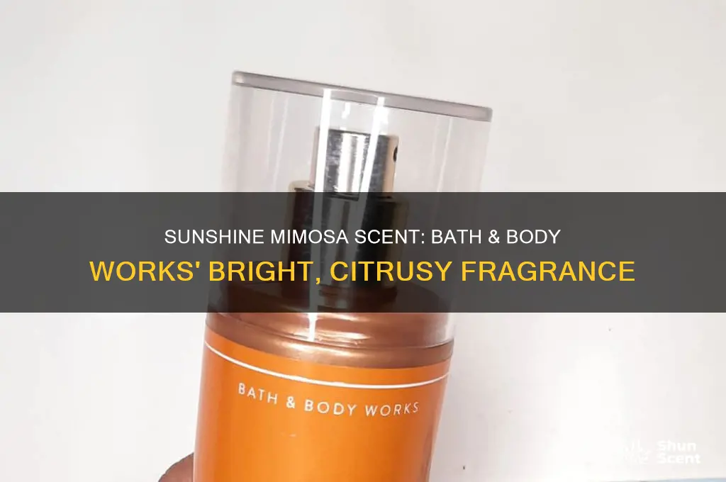 what current bath and body scent smells like sunshine mimisa