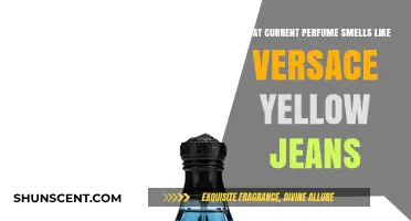 Discovering the Scent of Versace Yellow Jeans Today