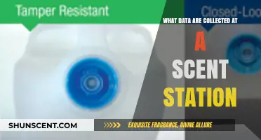 Unveiling Scent Station Data Collection: Insights and Key Metrics Explored