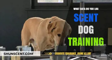 Logging Scent Dog Training Data: What to Track for Success
