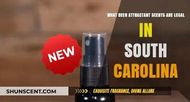 Legal Deer Attractant Scents for Hunting in South Carolina