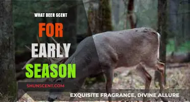 Early Season Deer Hunting: Best Scents to Attract Bucks Effectively