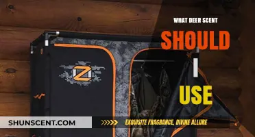 Choosing the Right Deer Scent: Tips for Effective Hunting Success
