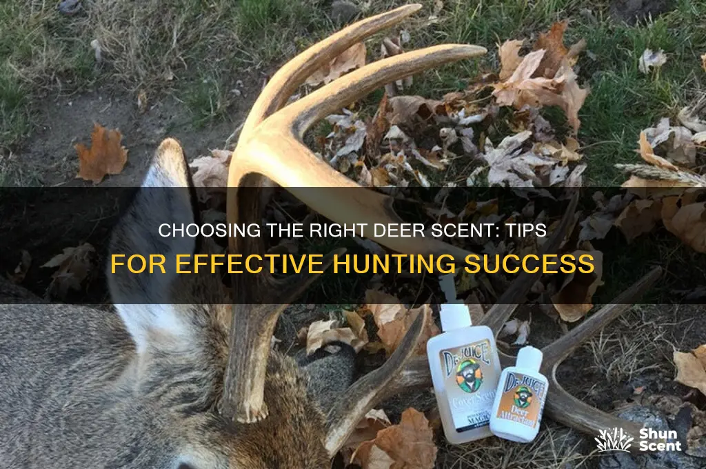 what deer scent should i use