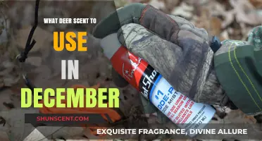 December Deer Hunting: Best Scents to Attract Bucks Effectively